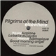 Pilgrims Of The Mind - Elsewhere